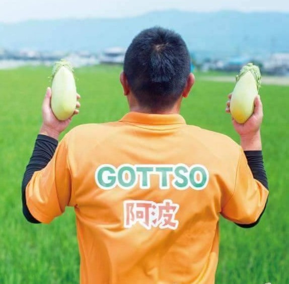 GOTTSO阿波のオリジナルプリントTシャツ